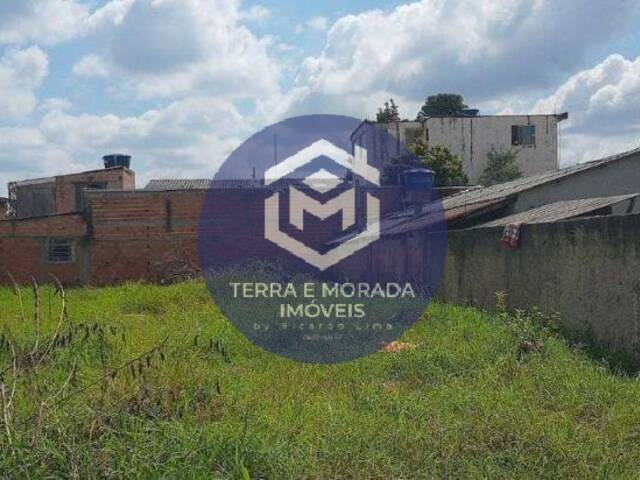 Área para Venda em Piraquara - 4