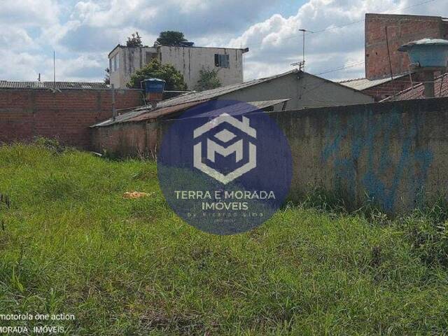 Área para Venda em Piraquara - 5