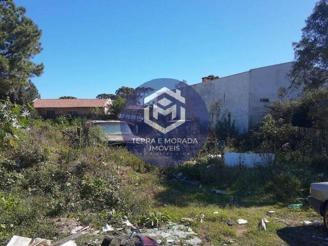 Área para Venda em São José dos Pinhais - 4