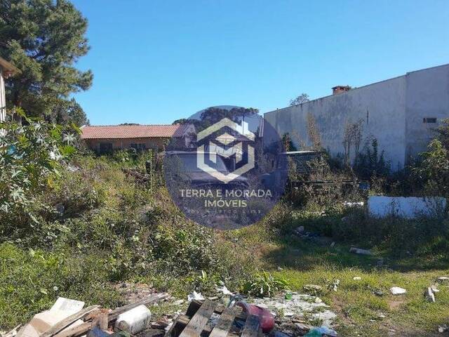 Área para Venda em São José dos Pinhais - 5